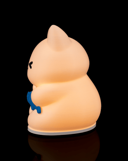 Cute Cat Night Light